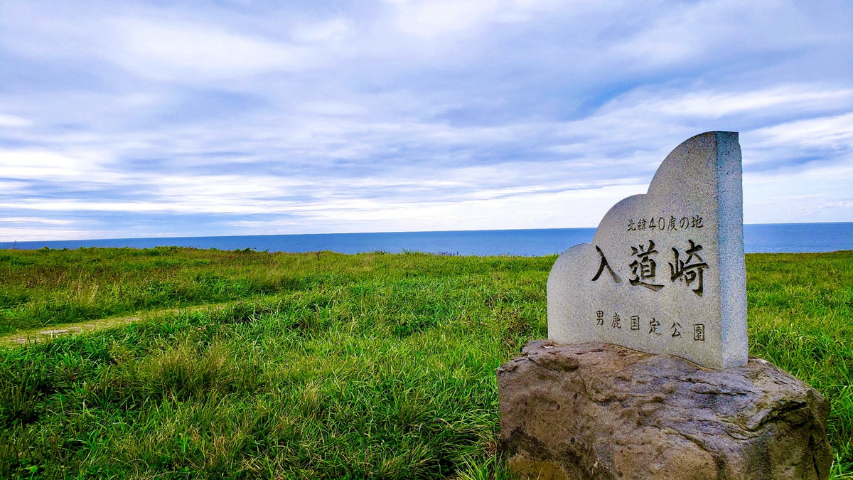 Akita Private Shore Excursion Namahage 7H