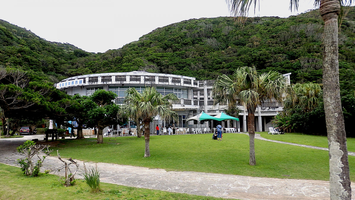 Naze Amami Private Shore Excursion City Highlights 4H