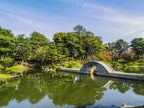 Hiroshima Private Shore Excursion City Highlights 4H