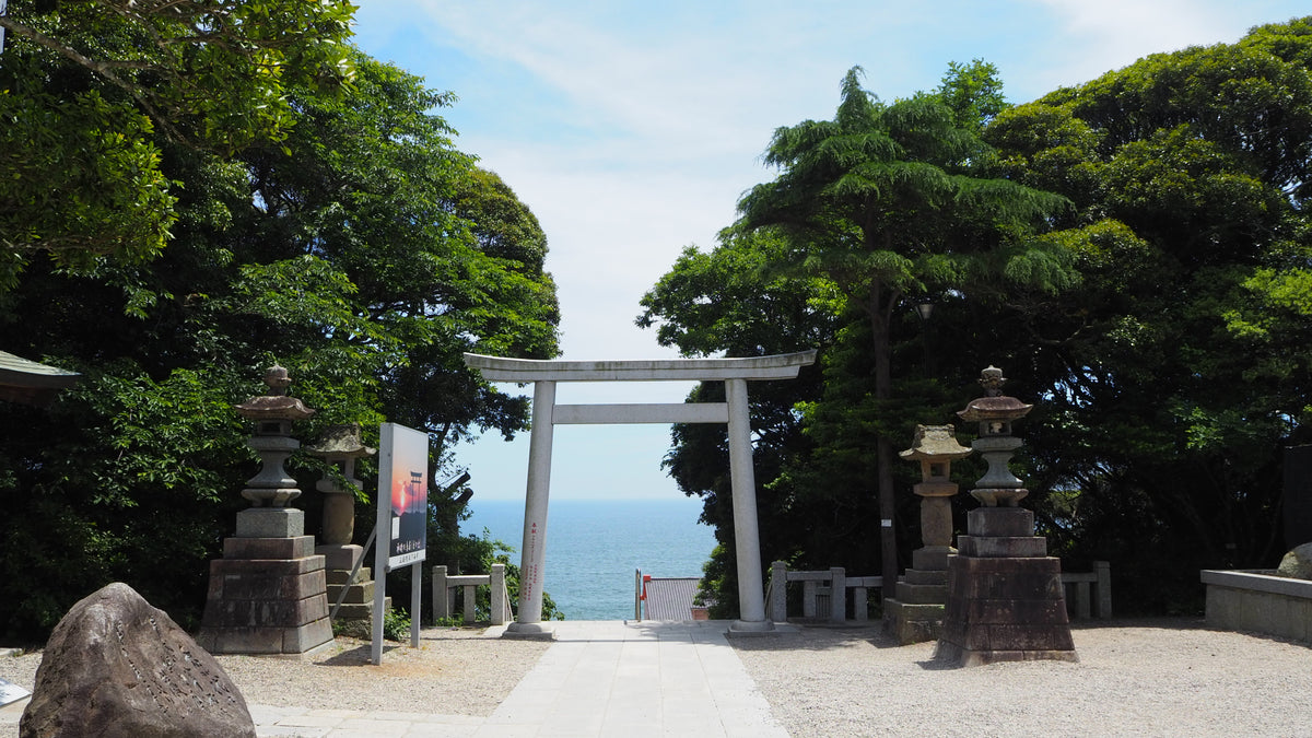 Hitachinaka Private Shore Excursion: Hitachi Seaside Park & Oarai 4H