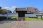 Hitachinaka Private Shore Excursion: Mito & Oarai Highlights 6H