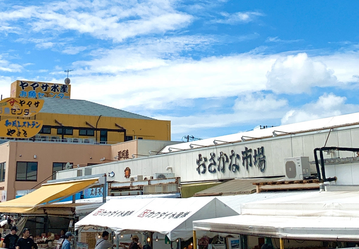 Hitachinaka Private Shore Excursion: Mito & Oarai Highlights 6H