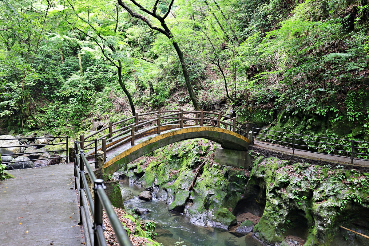 Hososhima Private Shore Excursion: Takachiho Gorge & Shrines 6H