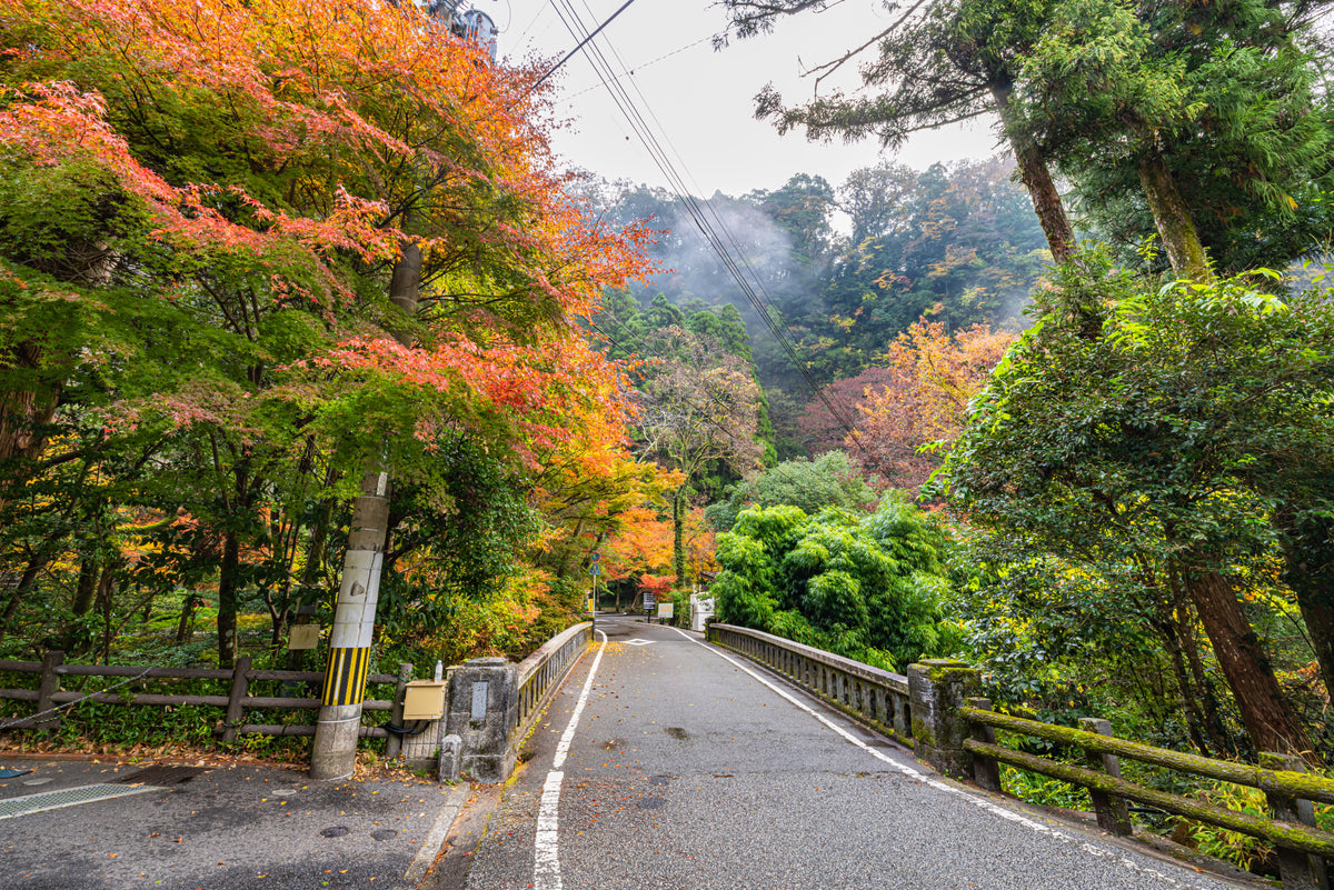 Hososhima Private Shore Excursion: Takachiho Gorge & Shrines 6H
