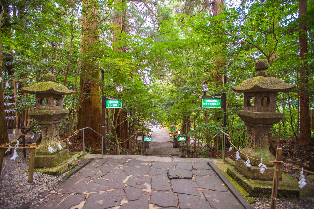 Hososhima Private Shore Excursion: Takachiho Gorge & Shrines 6H