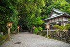 Hososhima Private Shore Excursion: Takachiho Gorge & Shrines 6H