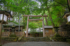 Hososhima Private Shore Excursion: Takachiho Gorge & Shrines 6H