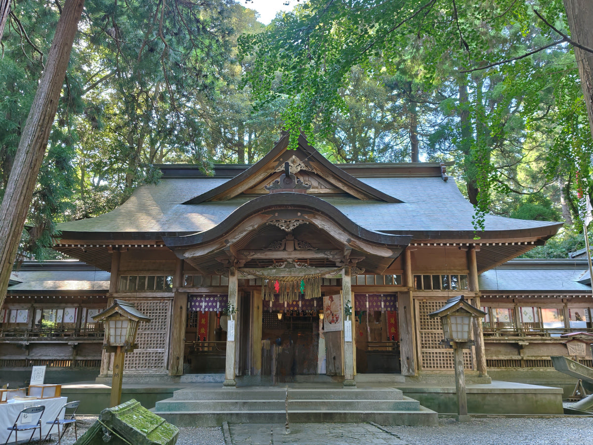Hososhima Private Shore Excursion: Takachiho Gorge & Shrines 6H