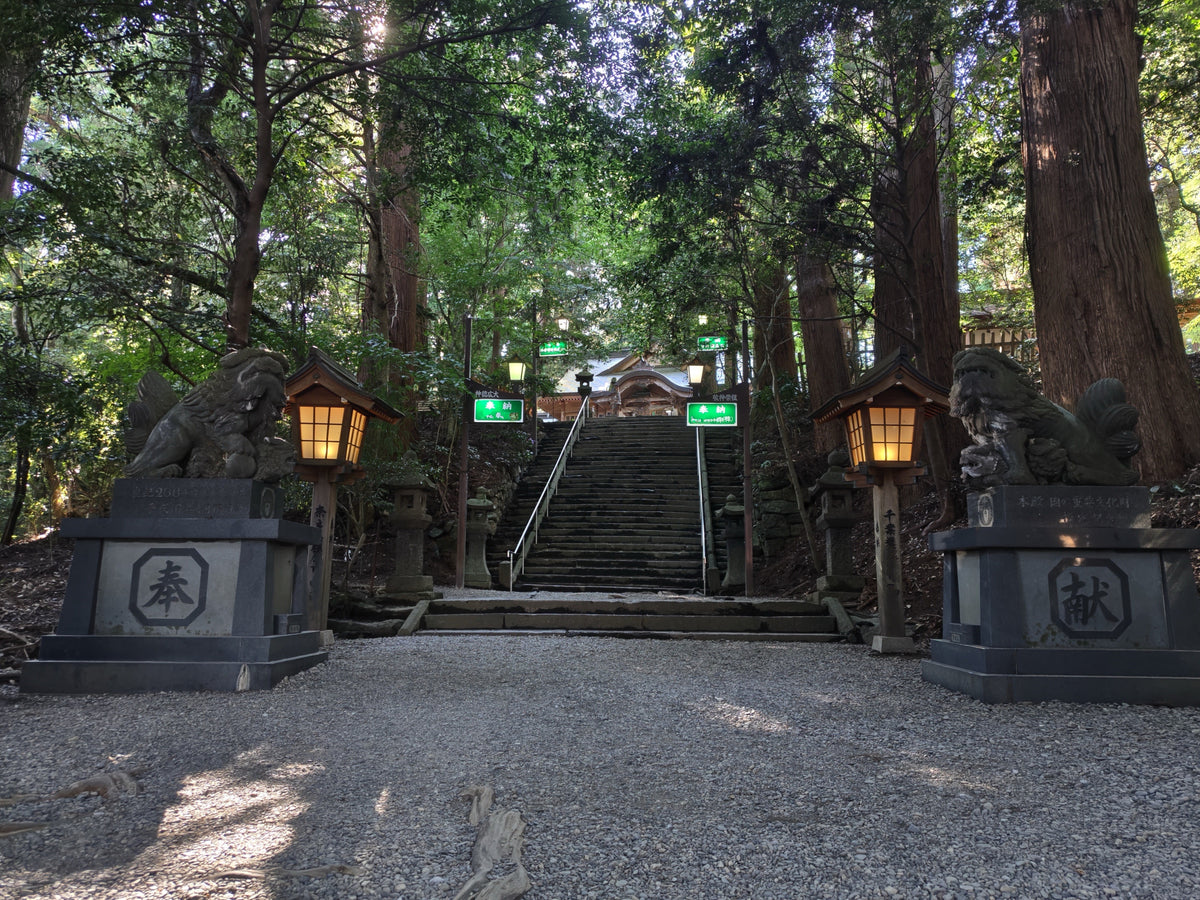 Hososhima Private Shore Excursion: Takachiho Gorge & Shrines 6H