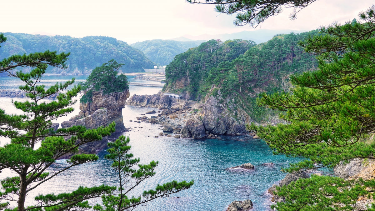 Miyako Iwate Private Shore Excursion City Highlight 4-6H