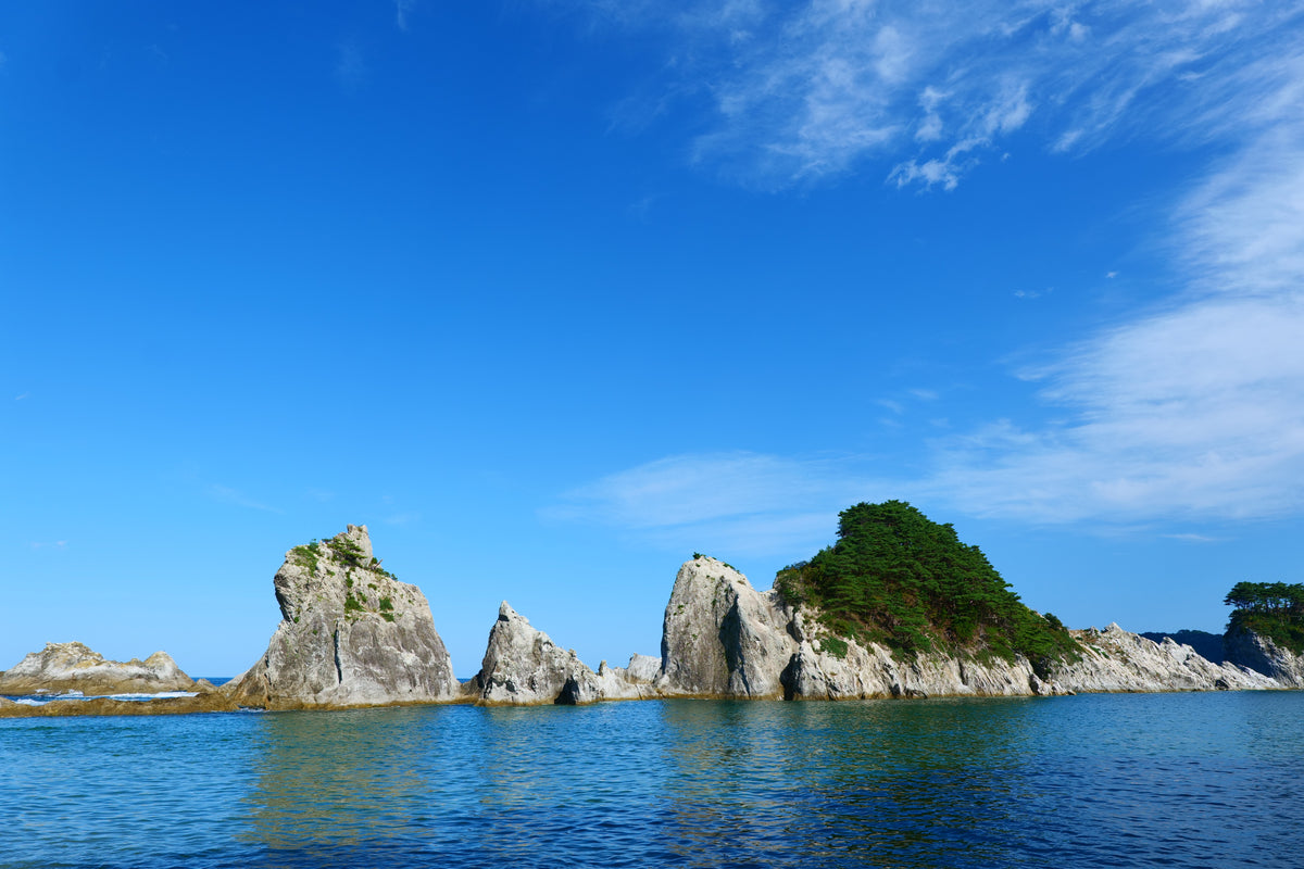 Miyako Iwate Private Shore Excursion City Highlight 4-6H