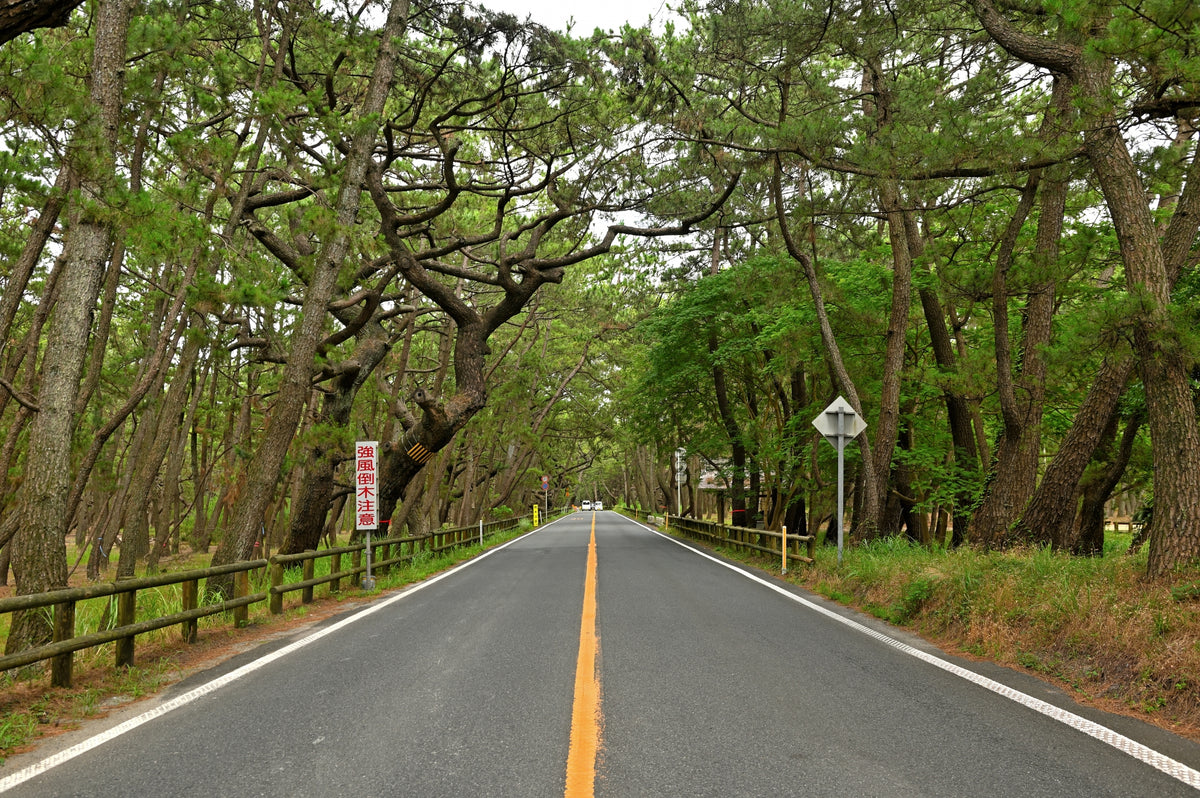 Karatsu Private Shore Excursion City Highlight 4H