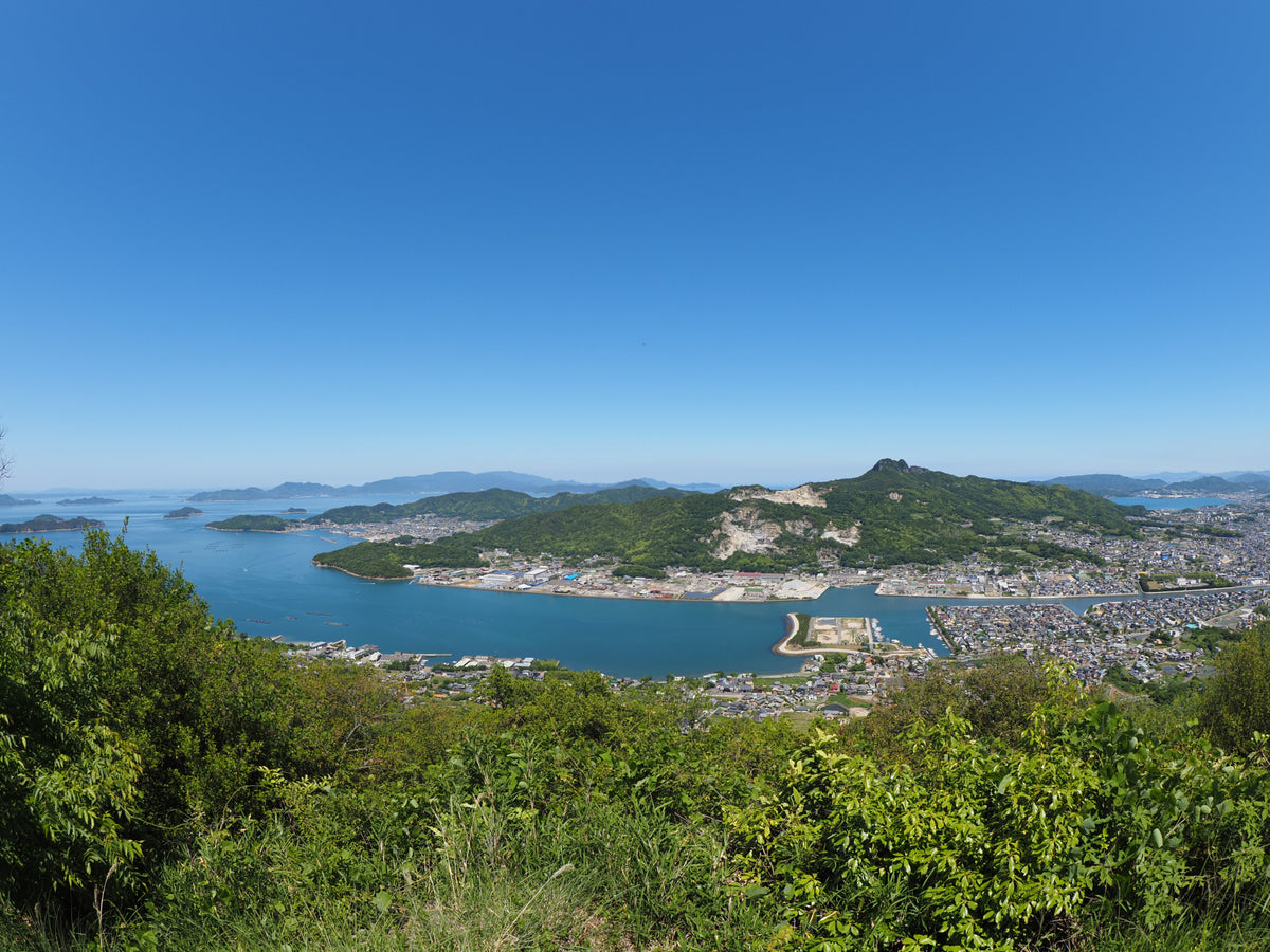 Takamatsu Private Shore Excursion City Highlight 4H