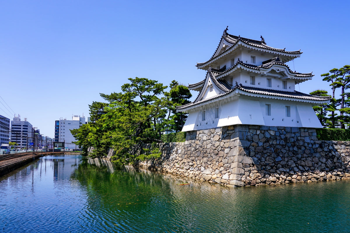 Takamatsu Private Shore Excursion City Highlight 4H