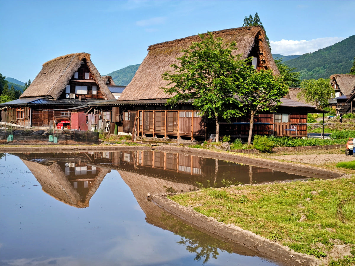 Fushiki Toyama Private Shore Excursion Gassho-style Village 7H
