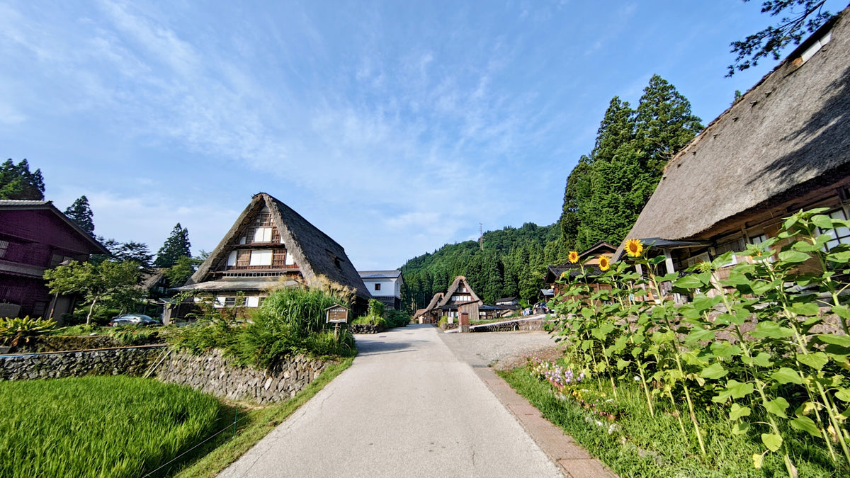 Fushiki Toyama Private Shore Excursion Gassho-style Village 7H
