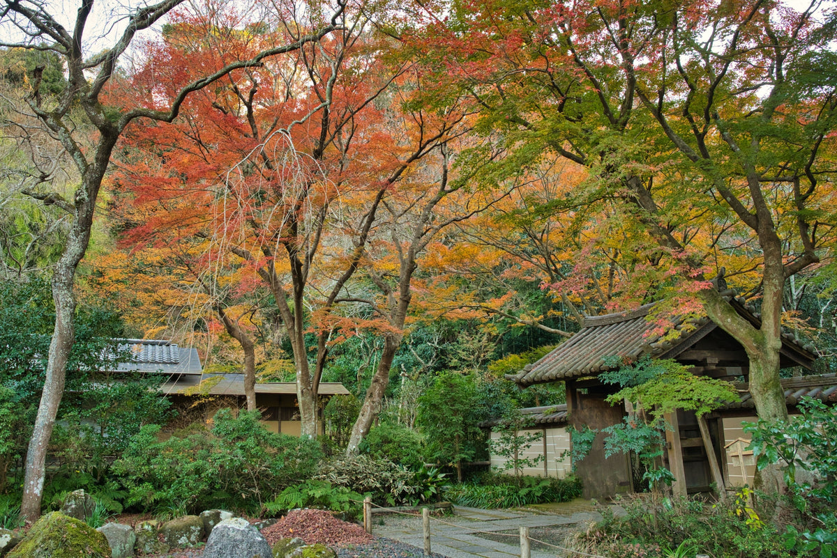 Fushiki Toyama Private Shore Excursion Gassho-style Village 7H