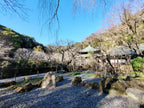 Fushiki Toyama Private Shore Excursion Gassho-style Village 7H