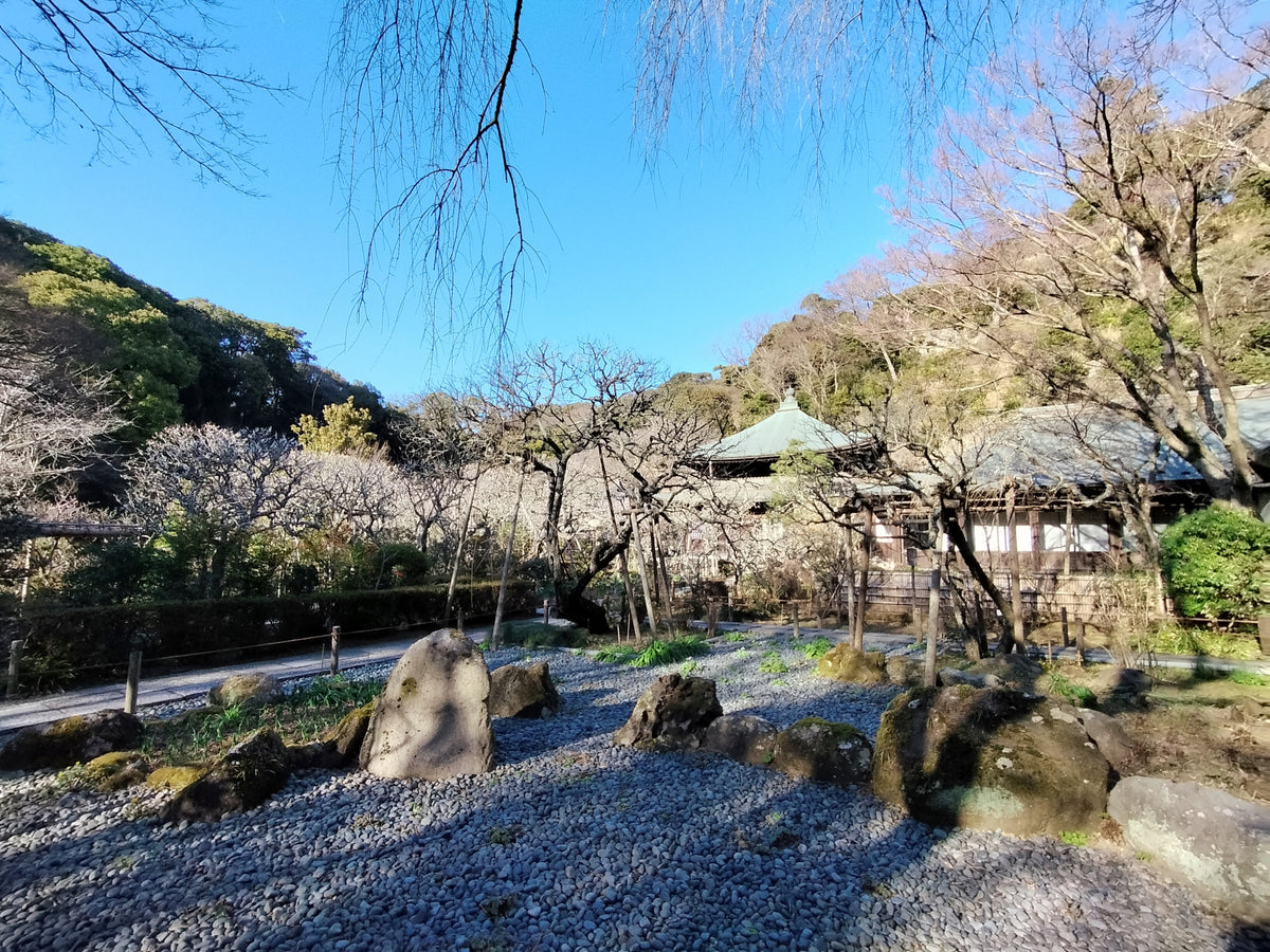 Fushiki Toyama Private Shore Excursion Gassho-style Village 7H