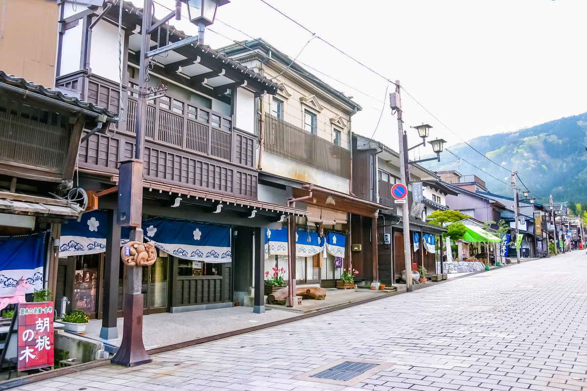 Fushiki Toyama Private Shore Excursion Gassho-style Village 7H
