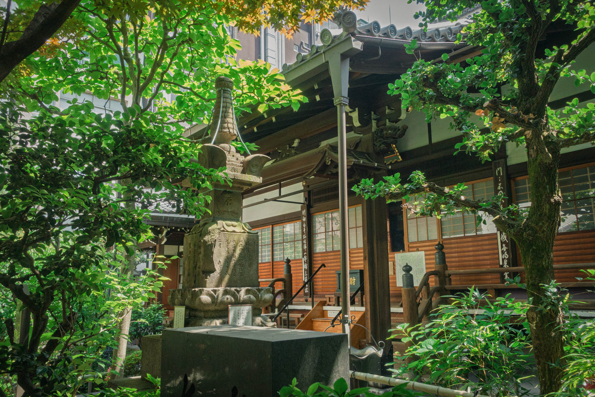 Fushiki Toyama Private Shore Excursion Gassho-style Village 7H