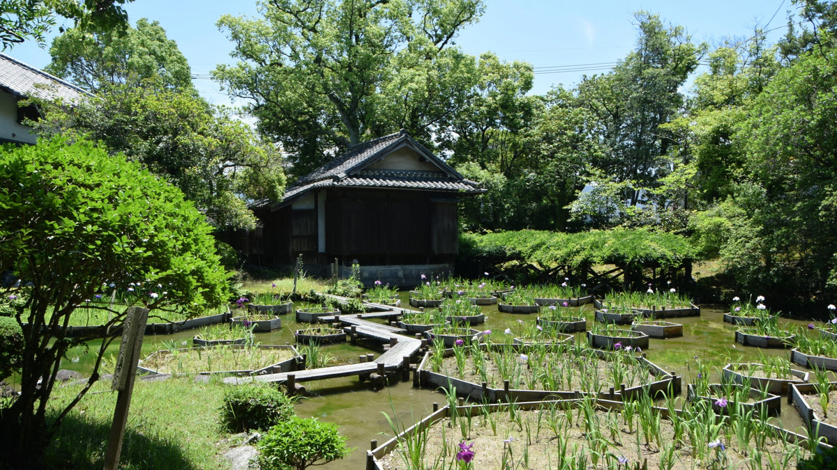 Yatsushiro: Private Shore Excursion - Hitoyoshi 6H