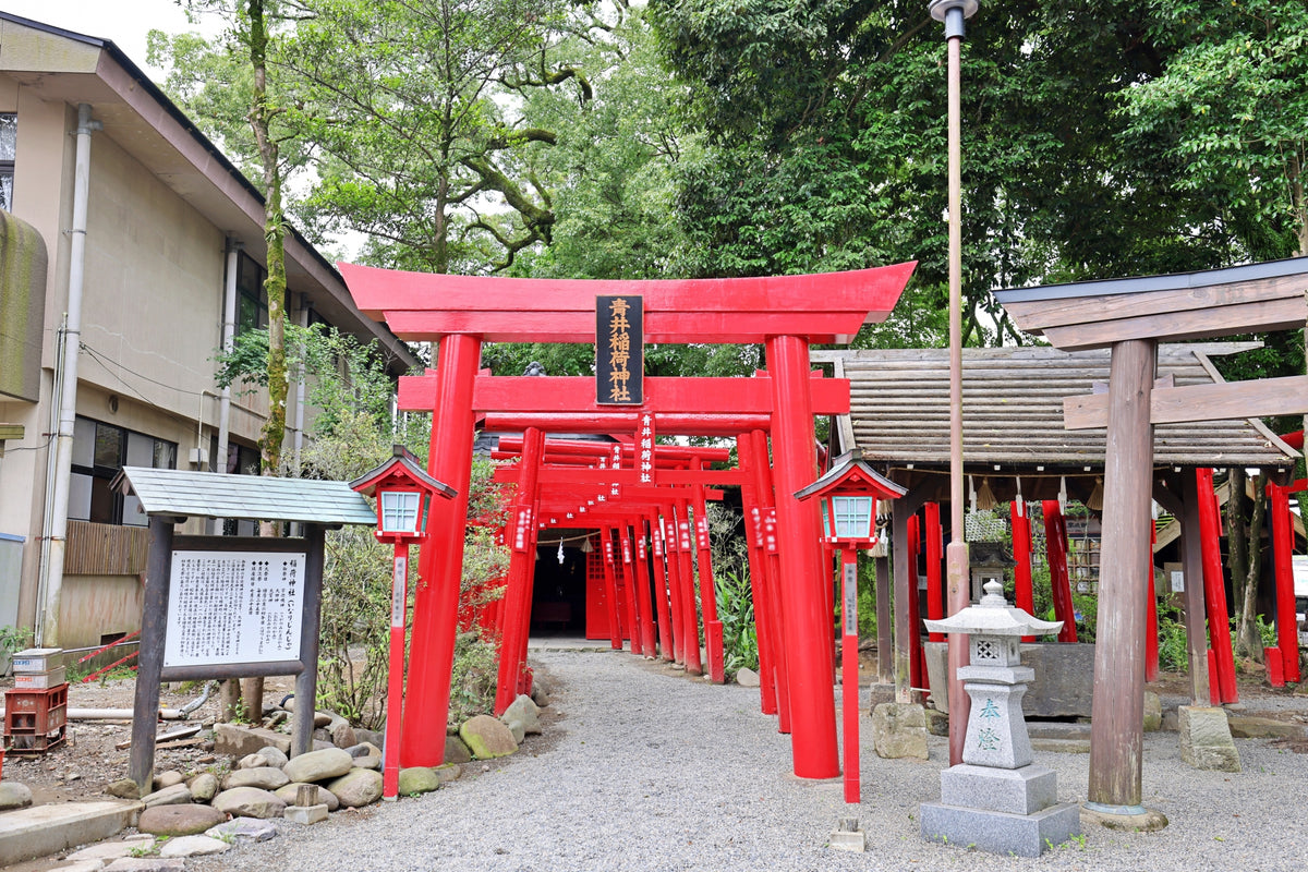 Yatsushiro: Private Shore Excursion - Hitoyoshi 6H