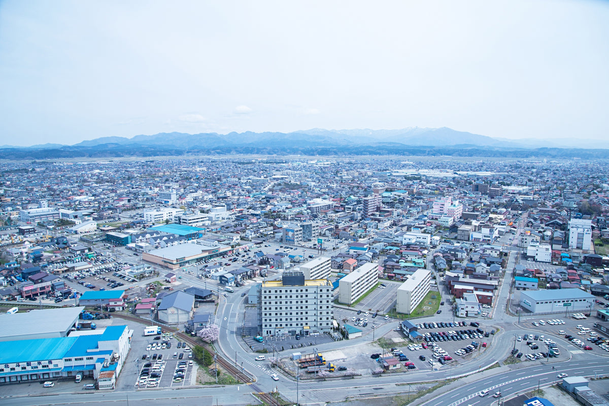 Akita Private Shore Excursion City Highlight 4H