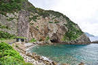 Naze Amami Private Shore Excursion - Nature 6H