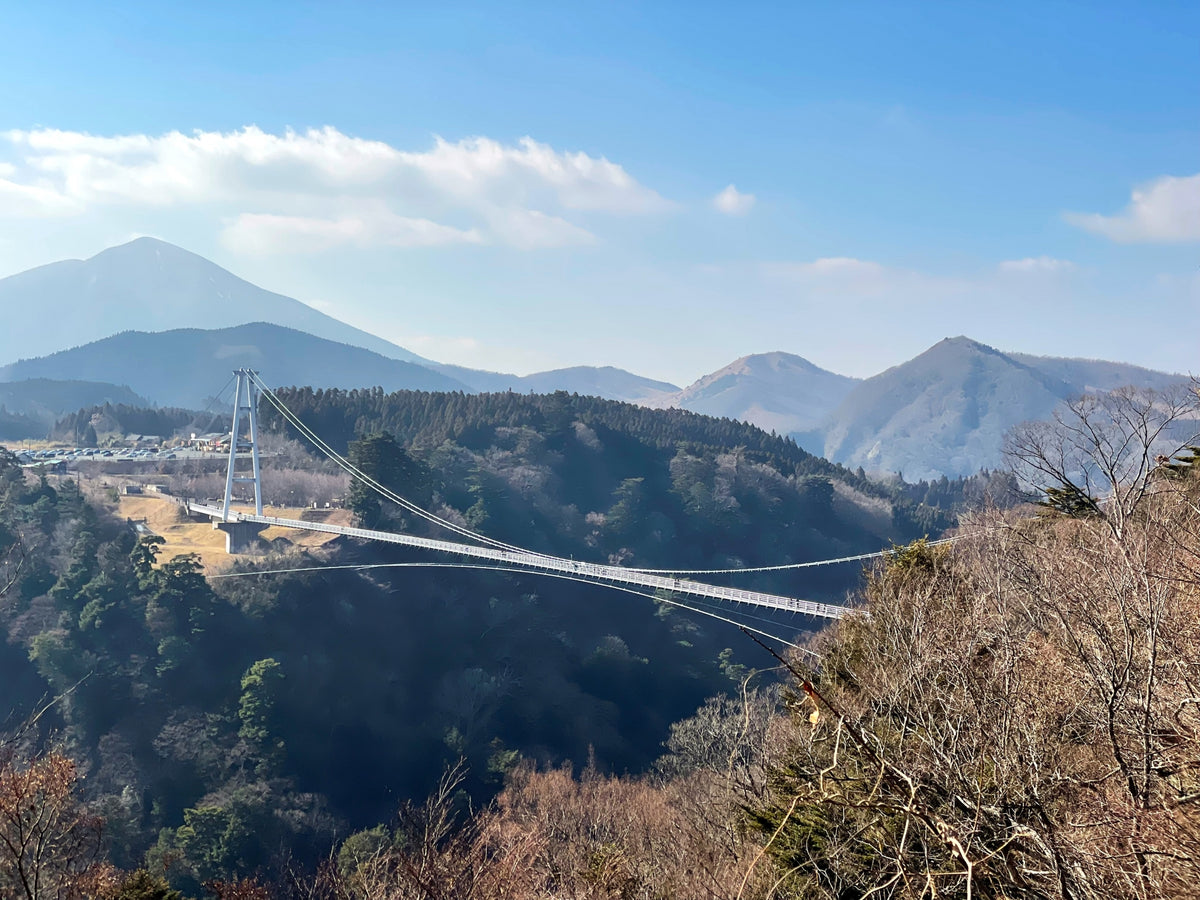 Beppu Oita Private Shore Excursion City Highlight 6H