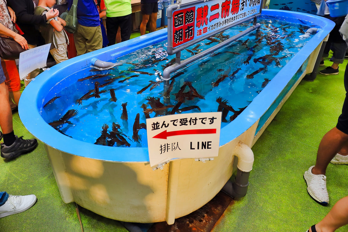 Hakodate Private Shore Excursion City Highlight 5H