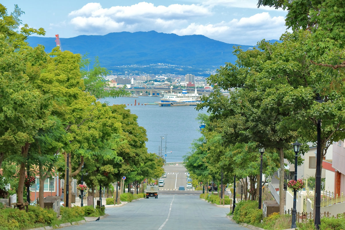 Hakodate Private Shore Excursion City Highlight 5H