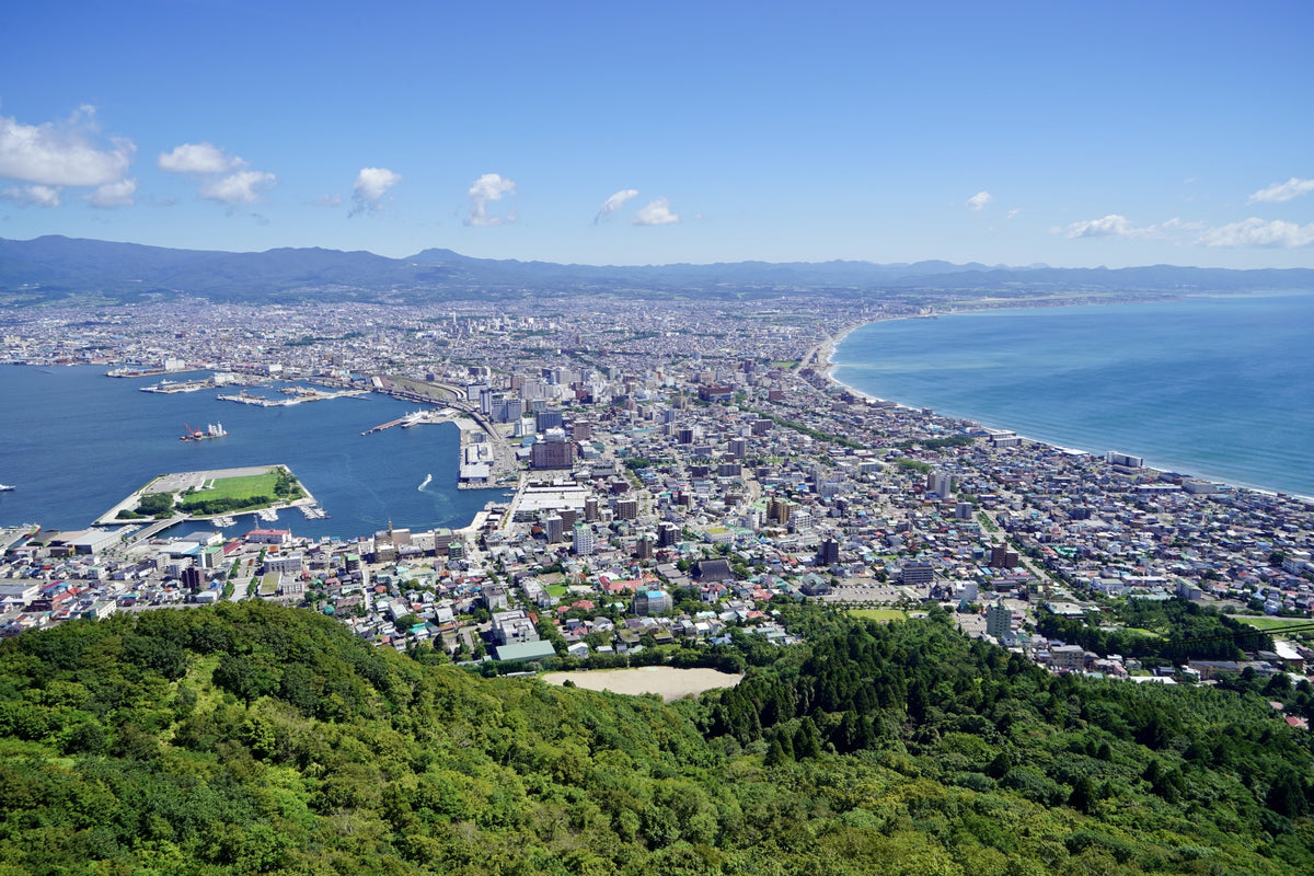 Hakodate Private Shore Excursion City Highlight 5H
