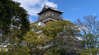 Hiroshima Private Shore Excursion Miyajima 7H