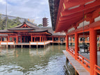 Hiroshima Private Shore Excursion Miyajima 7H