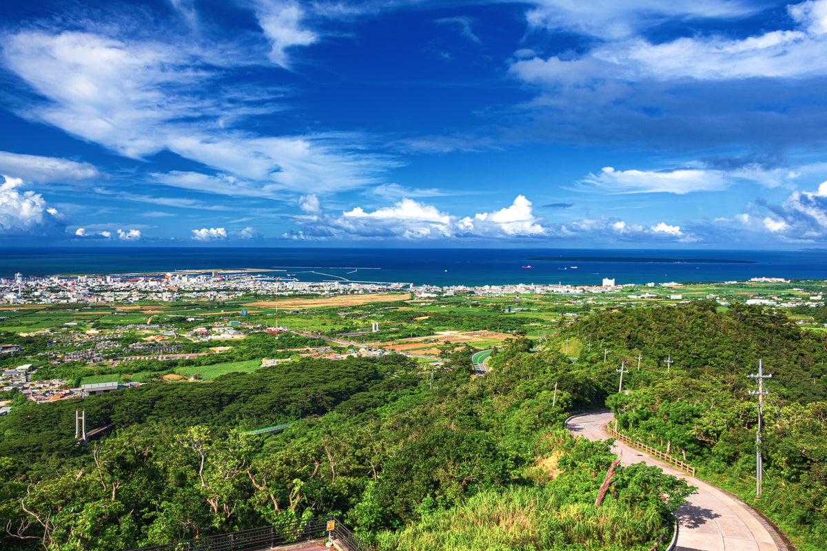 Okinawa Ishigaki Private Shore Excursion City Highlight 3-5H
