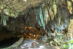 Okinawa Ishigaki Private Shore Excursion City Highlight 3-5H