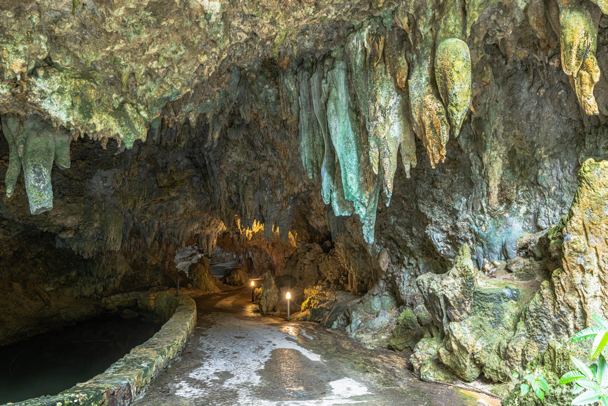 Okinawa Ishigaki Private Shore Excursion City Highlight 3-5H
