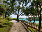 Okinawa Ishigaki Private Shore Excursion City Highlight 3-5H