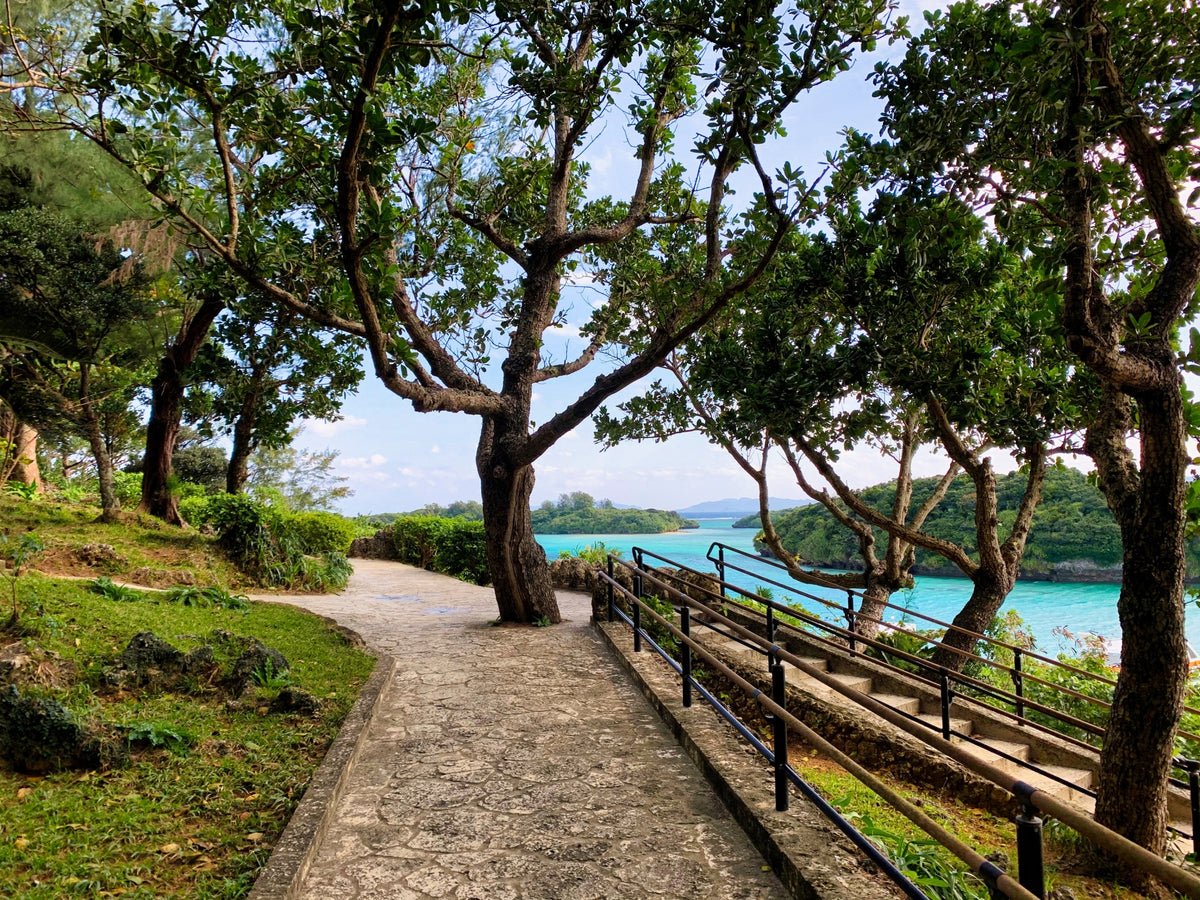 Okinawa Ishigaki Private Shore Excursion City Highlight 3-5H