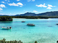 Okinawa Ishigaki Private Shore Excursion City Highlight 3-5H