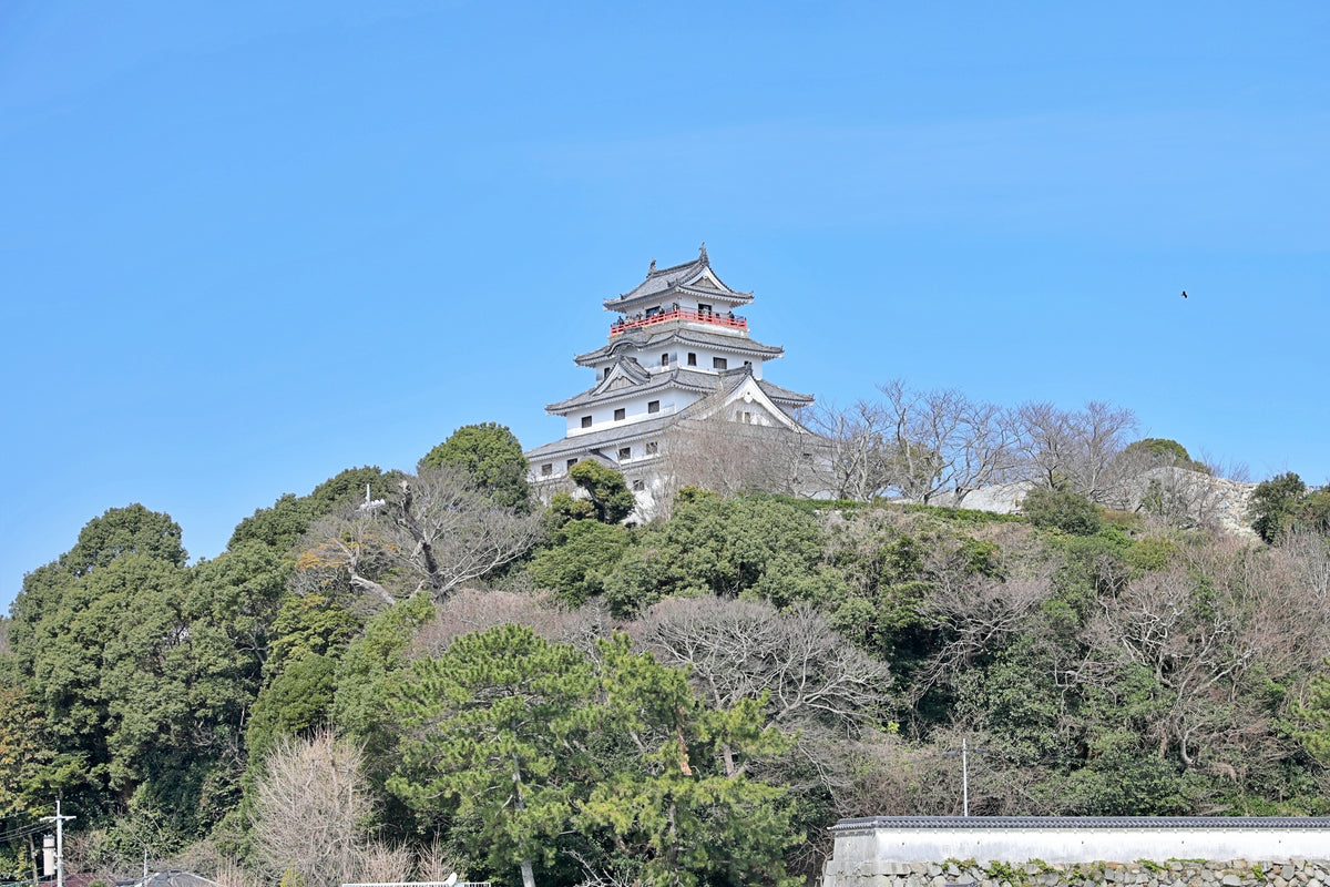Karatsu Private Shore Excursion City Highlight 6H