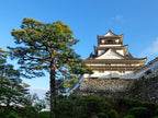 Karatsu Private Shore Excursion City Highlight 6H