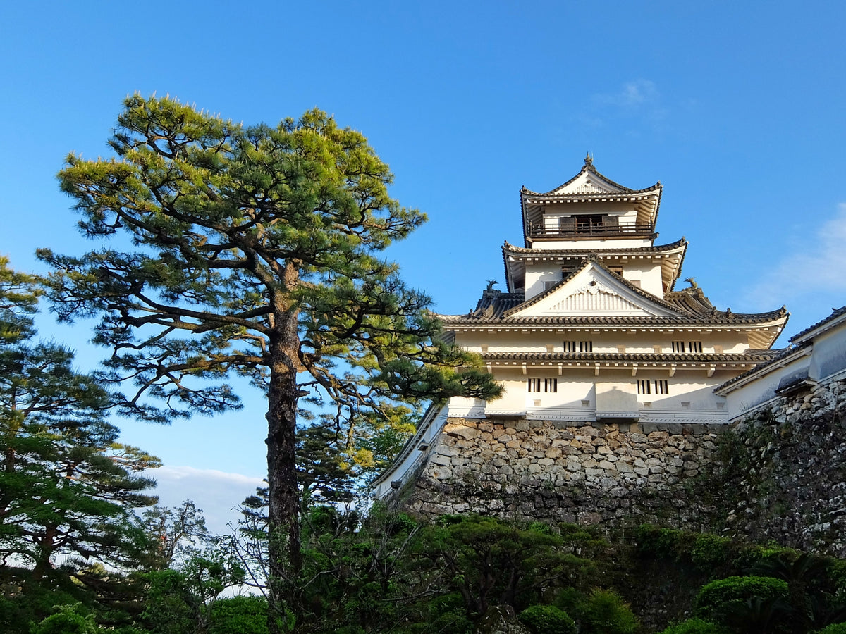 Karatsu Private Shore Excursion City Highlight 6H