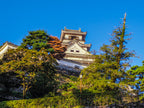Kochi Private Shore Excursion City Highlights 5H