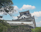 Kochi Private Shore Excursion City Highlights 5H