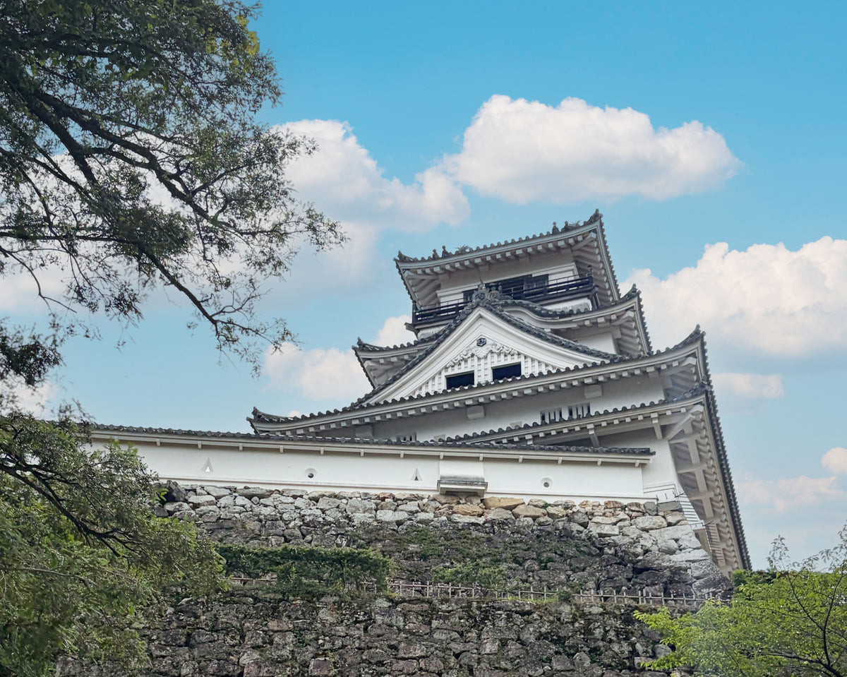 Kochi Private Shore Excursion City Highlights 5H