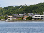 Kyoto Maizuru Private Shore Excursion Amano Hashidate 8H