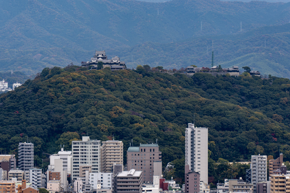 Matsuyama Ehime Private Shore Excursion City Highlight 4-6H