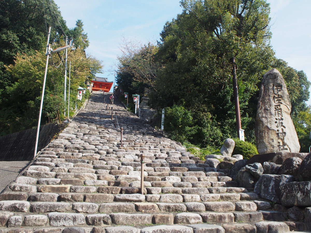 Matsuyama Ehime Private Shore Excursion City Highlight 4-6H